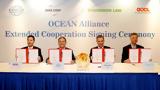 COSCO SHIPPING,OCEAN Alliance