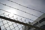 Σύμπραξη Εκδίκησης, Προφυλακιστέοι,sybraxi ekdikisis, profylakisteoi