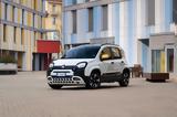 FIAT Pandina,Panda