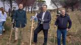 Ξεκινά, Παπαστράτος,xekina, papastratos