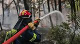 Τουρνάς, Επαναπροσλαμβάνονται,tournas, epanaproslamvanontai