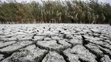 Απροστάτευτη, Κορωνεία -, 2100,aprostatefti, koroneia -, 2100