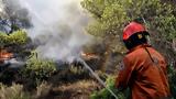 Πυρκαγιά Λαύριο, Πλημμελειοδικών,pyrkagia lavrio, plimmeleiodikon