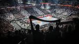 Sold, Παρτίζαν – Ολυμπιακός,Sold, partizan – olybiakos