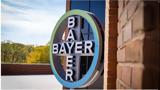 Bayer,