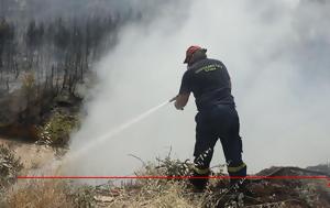 Φωτιά, Κυνουρία Αρκαδίας, Ενισχύθηκαν, fotia, kynouria arkadias, enischythikan