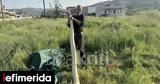 Κρήτη, Πήγαν, -Δείτε,kriti, pigan, -deite