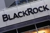 BlackRock, Πράσινο, 2024,BlackRock, prasino, 2024