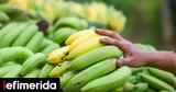 Γιατί είναι καλύτερο να τρώτε τις μπανάνες όταν είναι ακόμα λίγο πράσινες,διαιτολόγος εξηγεί