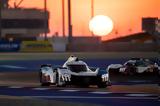 Peugeot Sport,FIA