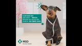 Socialab,MSD Animal Health