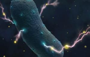 Οι επιστήμονες «είδαν» το… μυστικό των βακτηρίων που ζούν μέσα μας