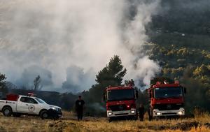 ΠΟΠΥΣΥΠ, Ανανέωση, Δείκτη Μάζας Σώματος, popysyp, ananeosi, deikti mazas somatos