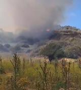 Συναγερμός, Μονεμβασιά, Φωτιά, Άγιο Στέφανο –,synagermos, monemvasia, fotia, agio stefano –