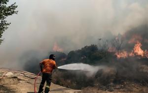 Φωτιά, Αγία Τριάδα Βοιωτίας – Σηκώθηκαν, fotia, agia triada voiotias – sikothikan