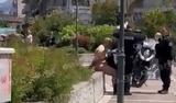 Νεαρός, Λάρισας,nearos, larisas