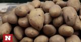 Πατάτες, Αύξηση,patates, afxisi