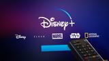 Disney+ Streaming Bundle, Max,Hulu