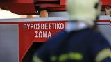 Πυρκαγιά, Πανεπιστήμιο Ιωαννίνων,pyrkagia, panepistimio ioanninon