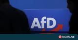 Γερμανία, AfD, Ρωσία, Κίνα,germania, AfD, rosia, kina