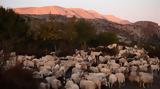 Κύκλωμα, Μακεδονία, Ήπειρο,kykloma, makedonia, ipeiro