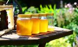 Greece Boosts EU Honey Trade, Imports Hit €359 3M,2023