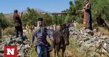 Εκδήλωση, Κρήτης,ekdilosi, kritis