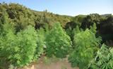 Μεσσηνία, Τεράστιο, 1 000 000,messinia, terastio, 1 000 000