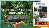Αυτή, Κυριακή, Πρώτο Θέμα, CANTINA,afti, kyriaki, proto thema, CANTINA