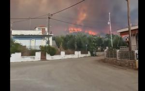 Σύλληψη Τούρκου, Αιγάλεω - Ομολόγησε, syllipsi tourkou, aigaleo - omologise