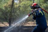 Φωτιά, Άλσος Βεΐκου, Πυροσβεστικής,fotia, alsos veΐkou, pyrosvestikis