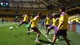 Φιορεντίνα, OPAP Arena,fiorentina, OPAP Arena