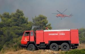 Φωτιά, Χαλκιδική, Μεγάλη, – Πού, fotia, chalkidiki, megali, – pou