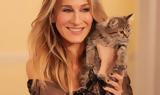 Sarah Jessica Parker,