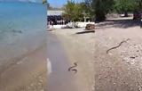 Πανικός, Πάτρα, Είδαν, - Δείτε,panikos, patra, eidan, - deite