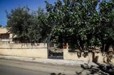 Λιόσια, Φρικιαστική,liosia, frikiastiki