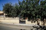 Λιόσια, Τουλάχιστον, 82χρονος – Μεταθανάτια,liosia, toulachiston, 82chronos – metathanatia