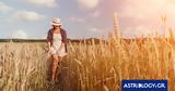 Ημερήσιες Προβλέψεις, Ζώδια 0206, Παρορμητικές,imerisies provlepseis, zodia 0206, parormitikes