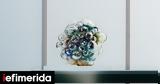 Loewe Foundation Craft Prize,