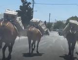 Φηρά, Ξανά, Σαντορίνης,fira, xana, santorinis