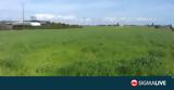 Τεμάχια, €24 000,temachia, €24 000