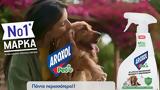 Launch, Aroxol Pet,Solid Havas