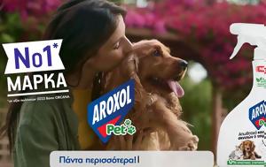 Launch, Aroxol Pet, Solid Havas