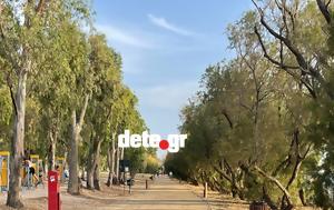 Πάτρα, Καλοκαιράκι, Έλους, Αγυιάς – Φωτό, patra, kalokairaki, elous, agyias – foto