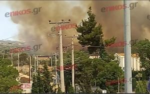 Φωτιά, Κρυονέρι, Πυκνοί, – ΦΩΤΟ, fotia, kryoneri, pyknoi, – foto