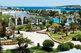 SWOT Hospitality, Οlvos Koufonisia – Ξεκινάει,SWOT Hospitality, olvos Koufonisia – xekinaei