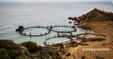 Healthy Seas, Καθαρίζοντας,Healthy Seas, katharizontas