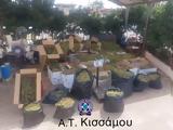 Κίσσαμος, Κατασχέθηκαν 1 050, – Δύο,kissamos, kataschethikan 1 050, – dyo
