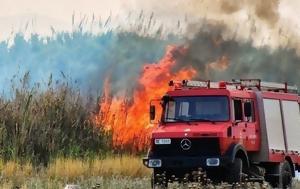 Εγκρίθηκε, Δασικών Υπηρεσιών, egkrithike, dasikon ypiresion