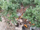 Πάτρα, Τριών Ναυάρχων,patra, trion navarchon